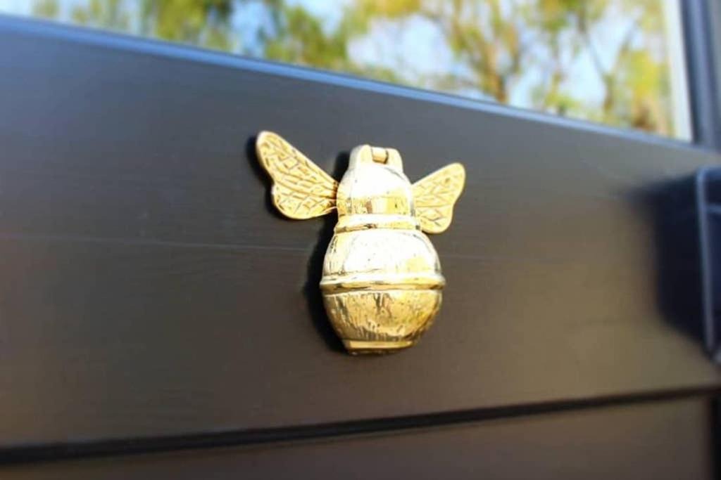 Photo of Others in St Mary's Bay