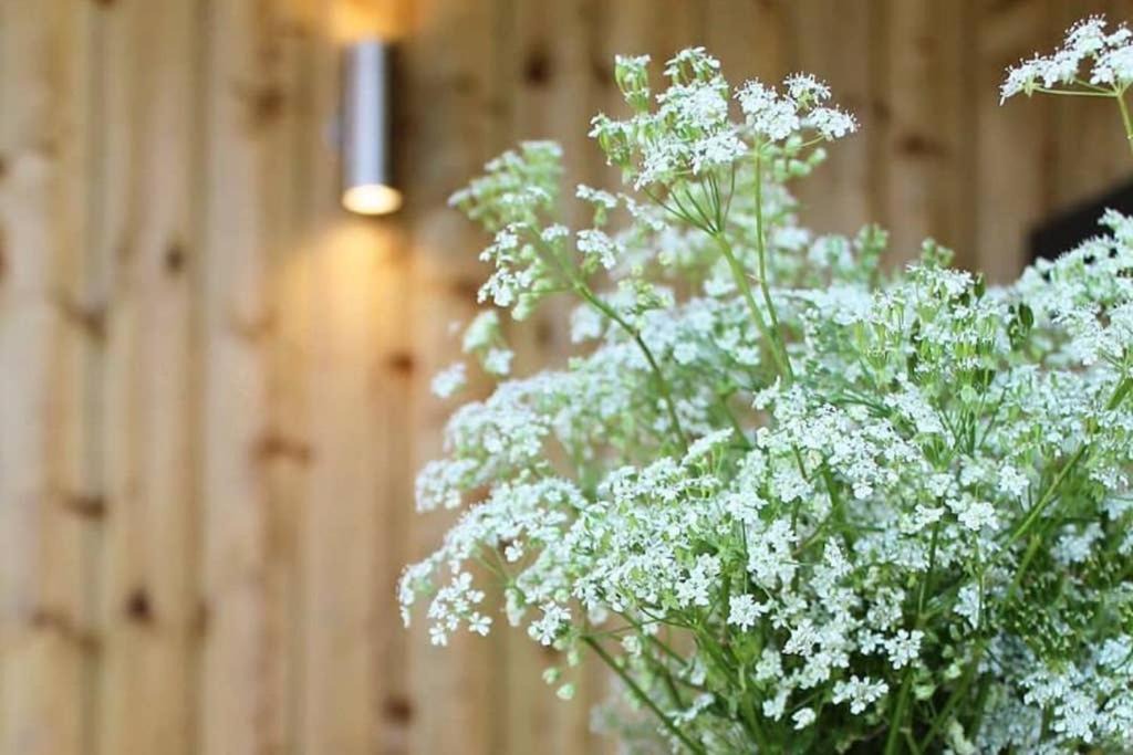 Photo of Others in St Mary's Bay