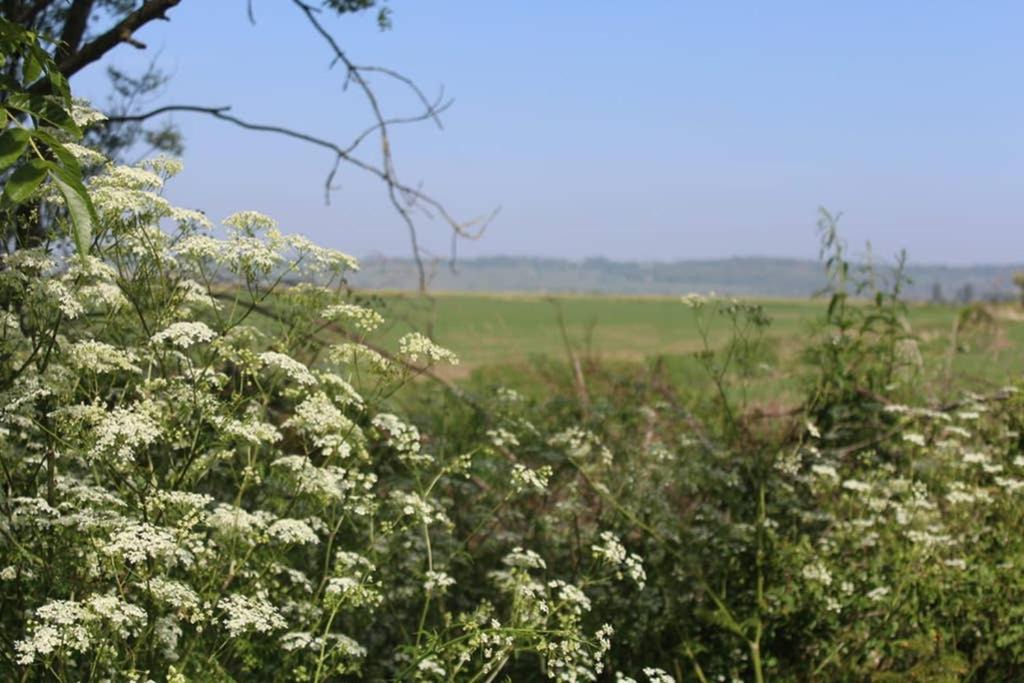 Photo of Outdoor in St Mary's Bay