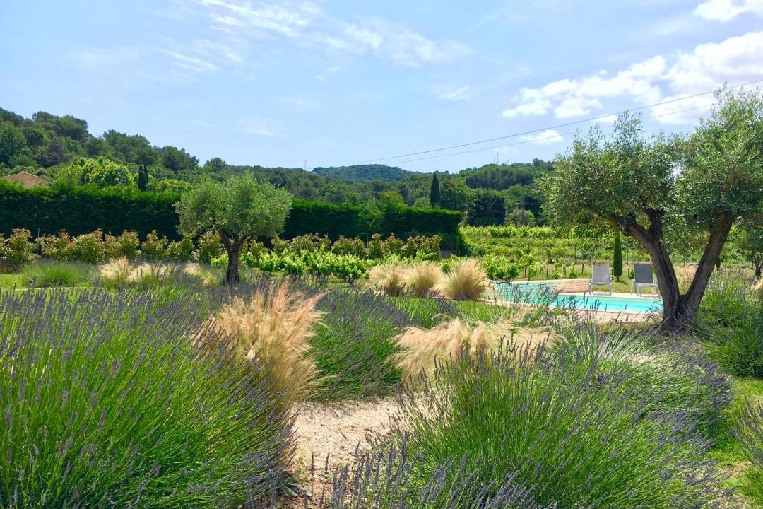 Photo of Others in Venejan