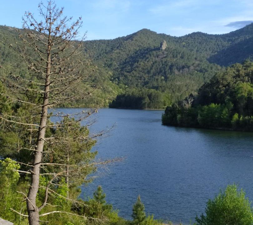 Photo of Others in Ghisonaccia