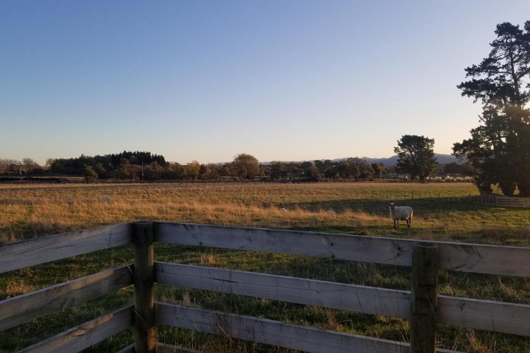 Photo of Others in Carterton