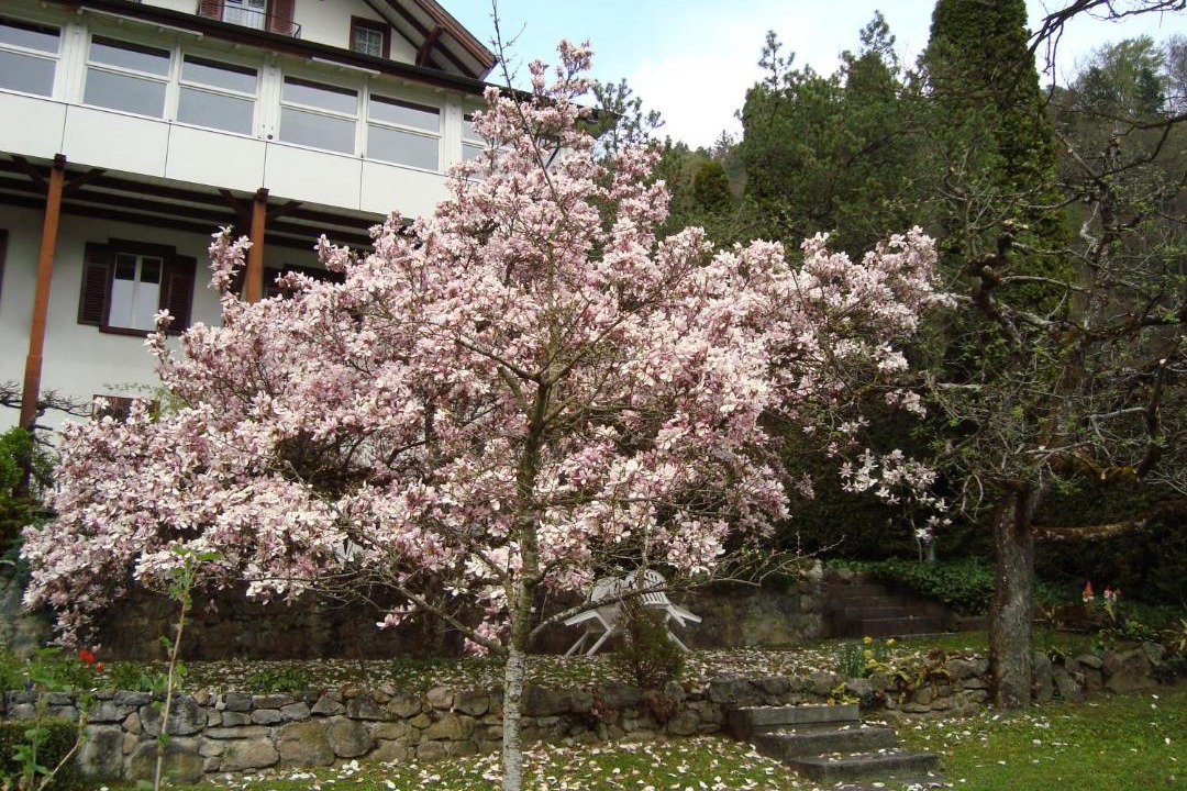 Photo of Others in Sundlauenen