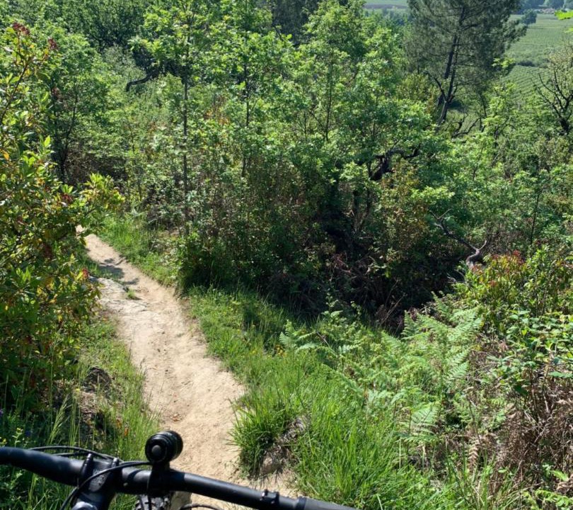 Photo of Others in Verac