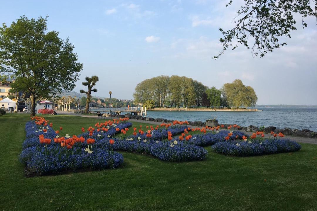 Photo of Others in Rolle