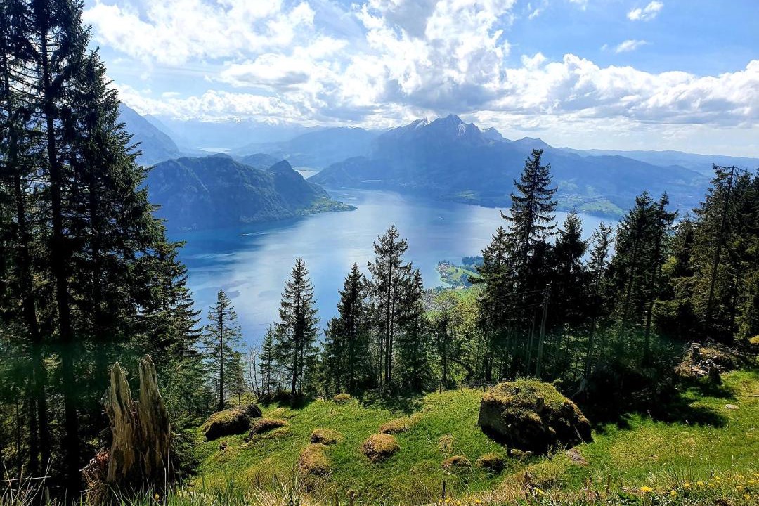 Photo of Others in Rigi Kaltbad