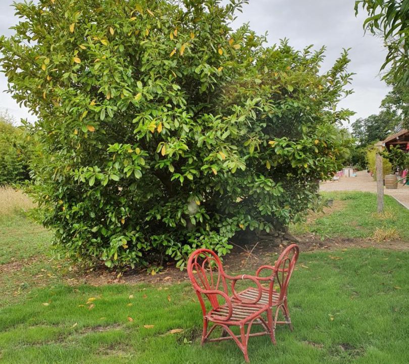 Photo of Outdoor in Simard