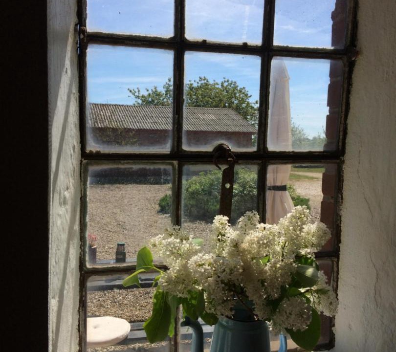 Photo of Others in Uldum