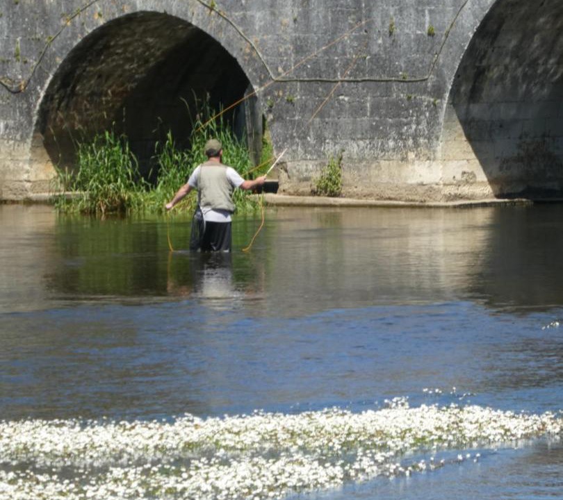 Photo of Others in Sencenac-Puy-de-Fourches