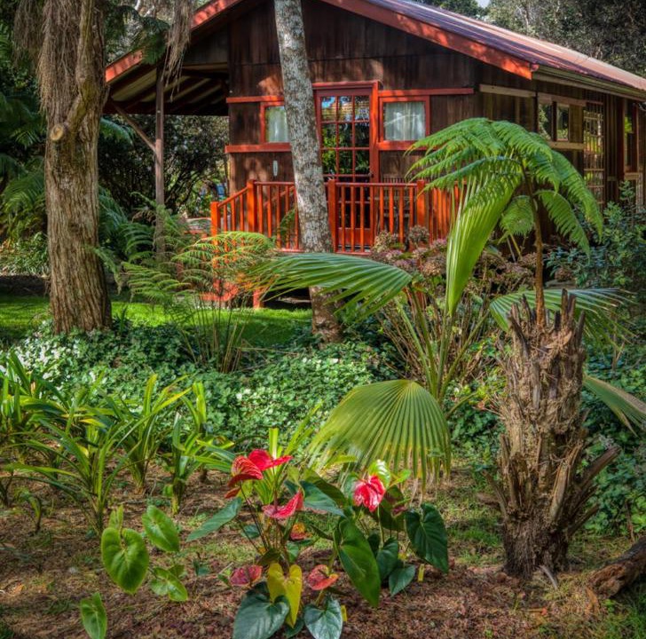 Photo of Others in Kohala Coast