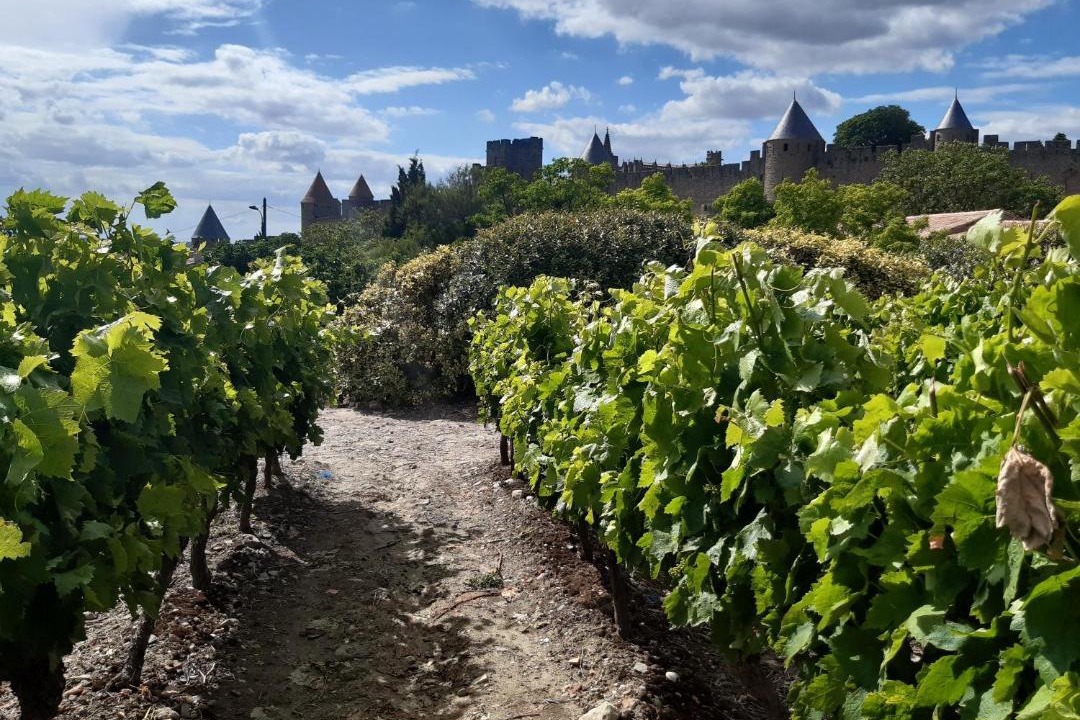 Photo of Others in City of Carcassonne