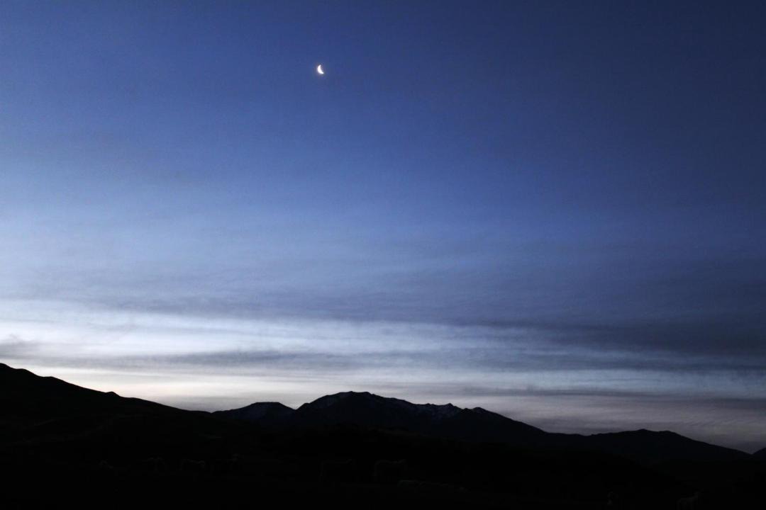 Photo of Others in Cardrona