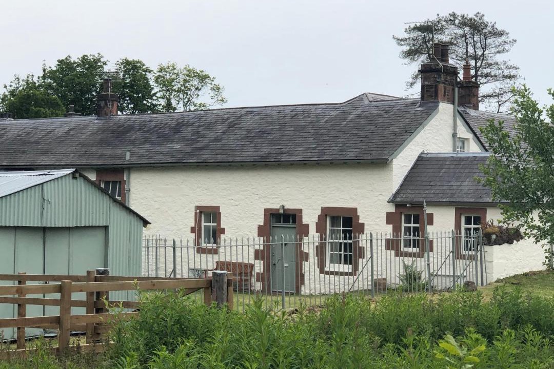 Photo of Others in Newbridge