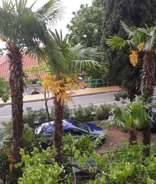 Photo of Others in Opatija