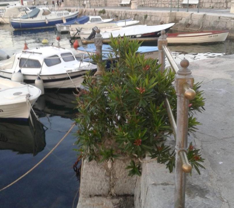 Photo of Others in Opatija