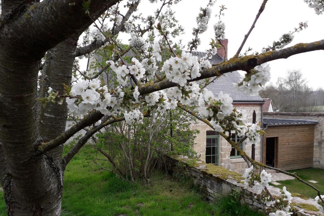 Photo of Others in Revillon