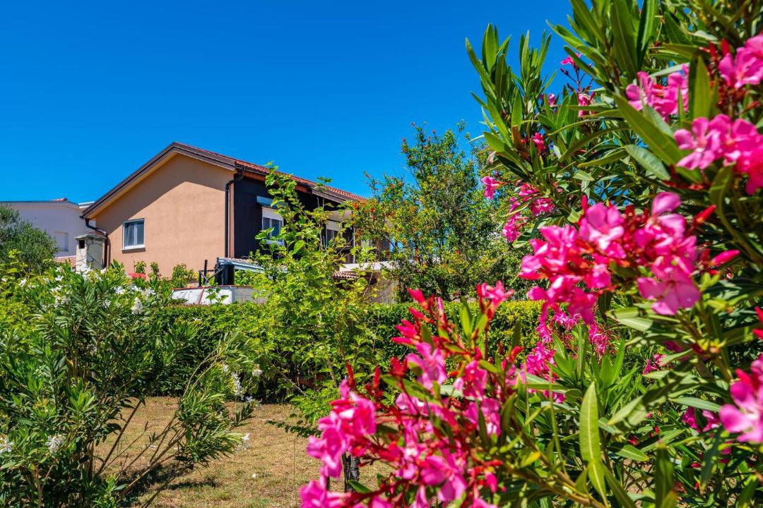 Photo of Buildings in Nin
