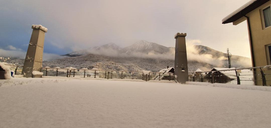 Photo of Others in Krasnaya Polyana