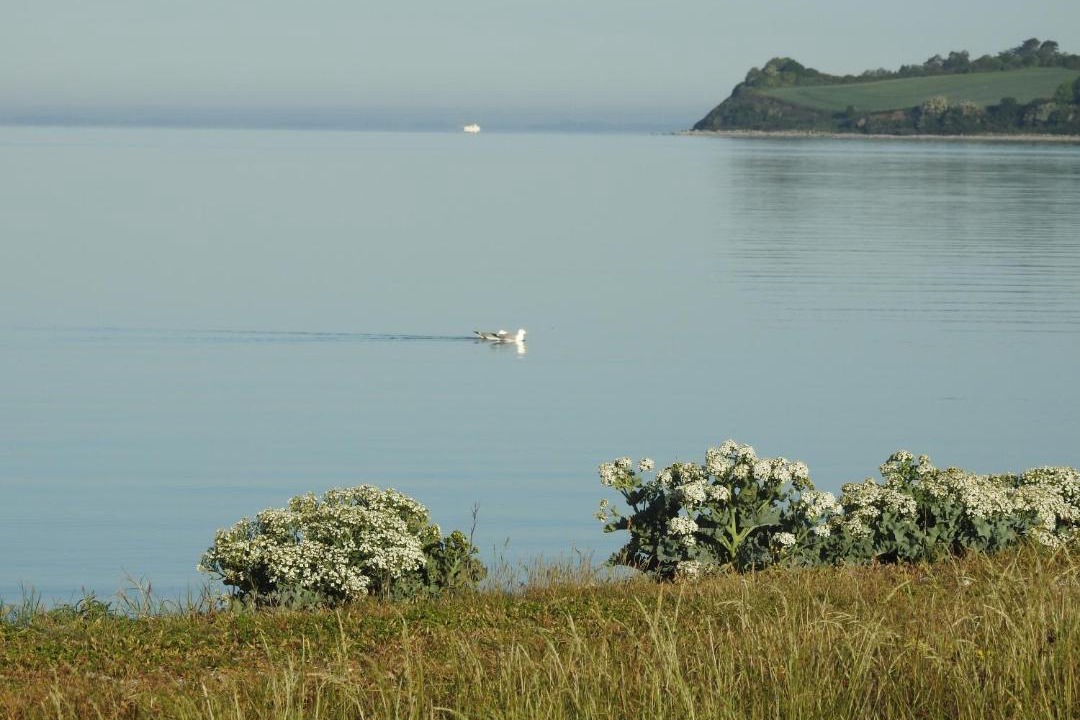 Photo of Others in Ebberup