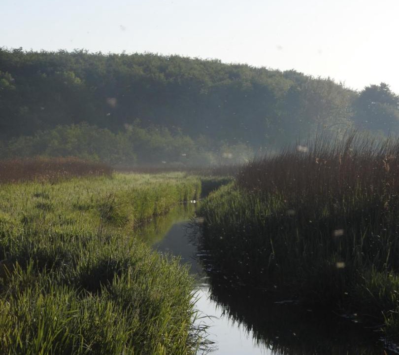 Photo of Others in Ebberup