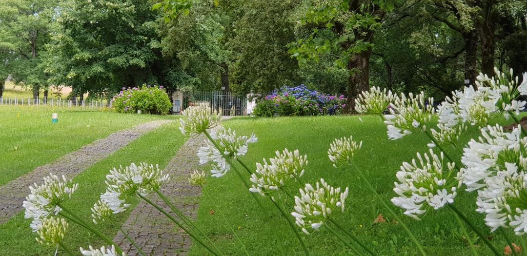 Photo of Others in Saint-Pee-sur-Nivelle