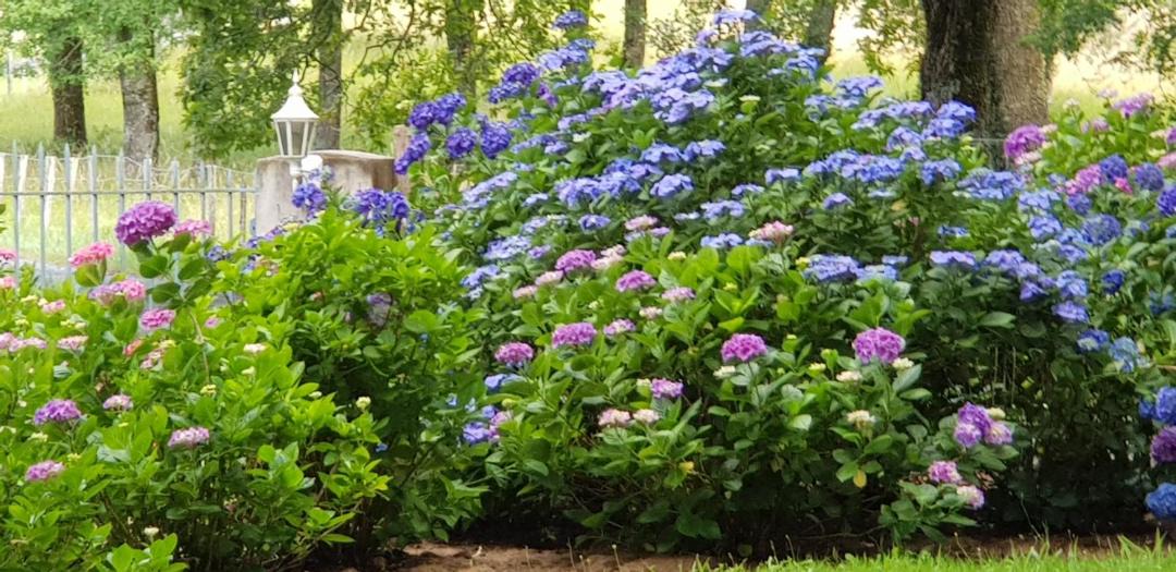 Photo of Outdoor in Saint-Pee-sur-Nivelle