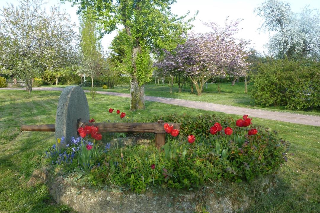 Photo of Others in Saint-Pierre-du-Regard