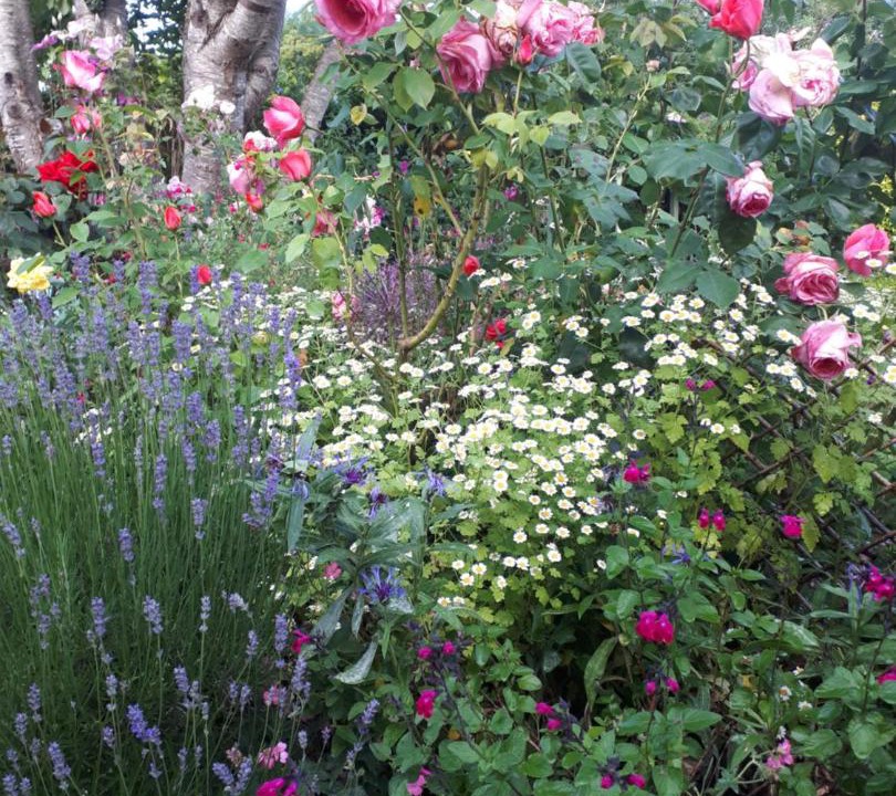 Photo of Others in Westbury