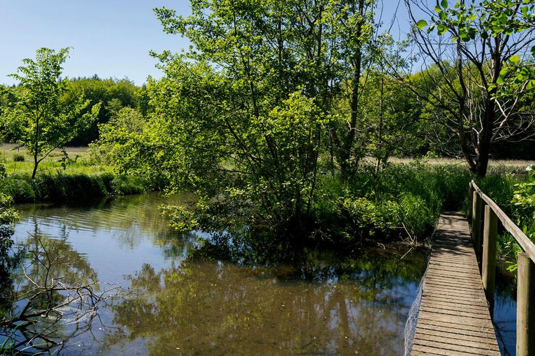 Photo of Others in Roskilde