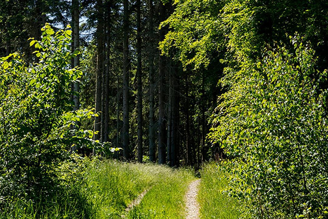 Photo of Others in Roskilde