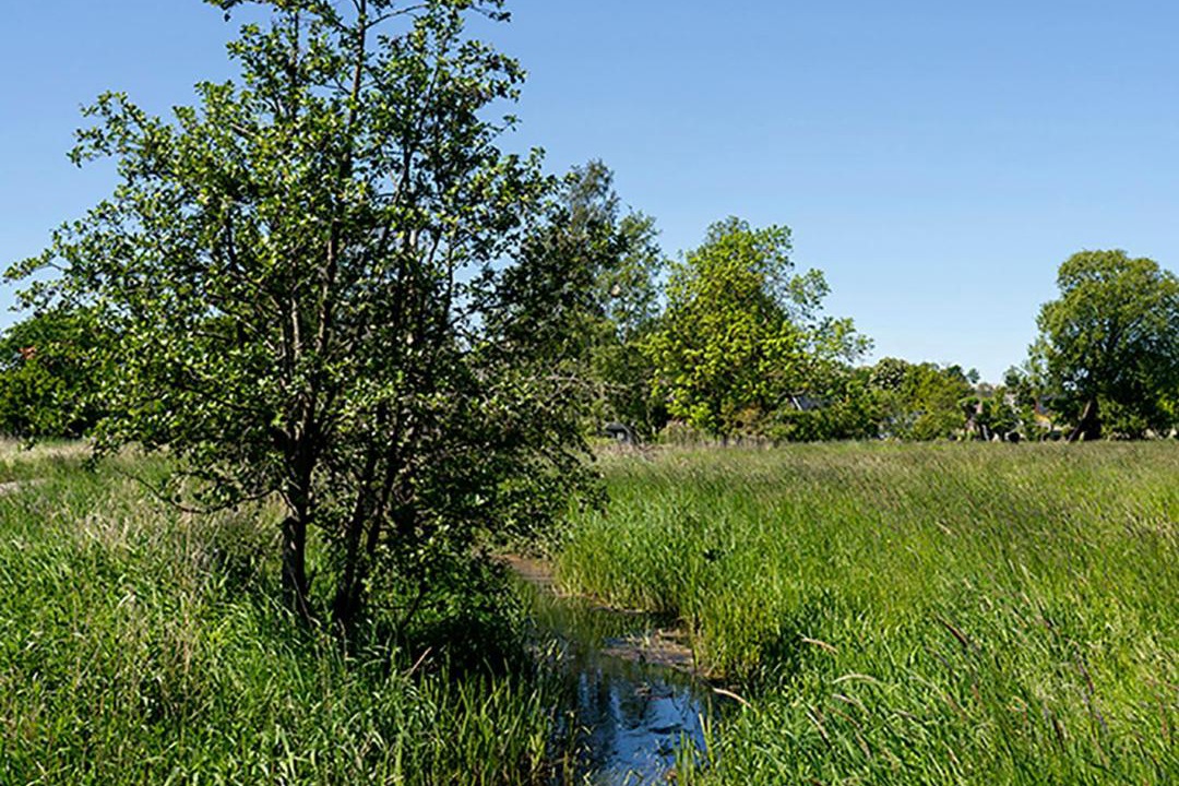 Photo of Others in Roskilde