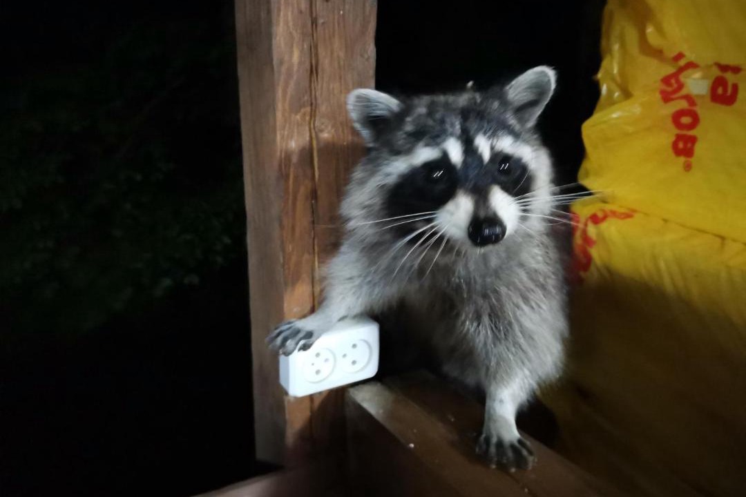 Photo of Others in Lermontovo