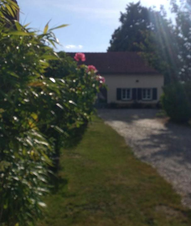 Photo of Others in Arrest