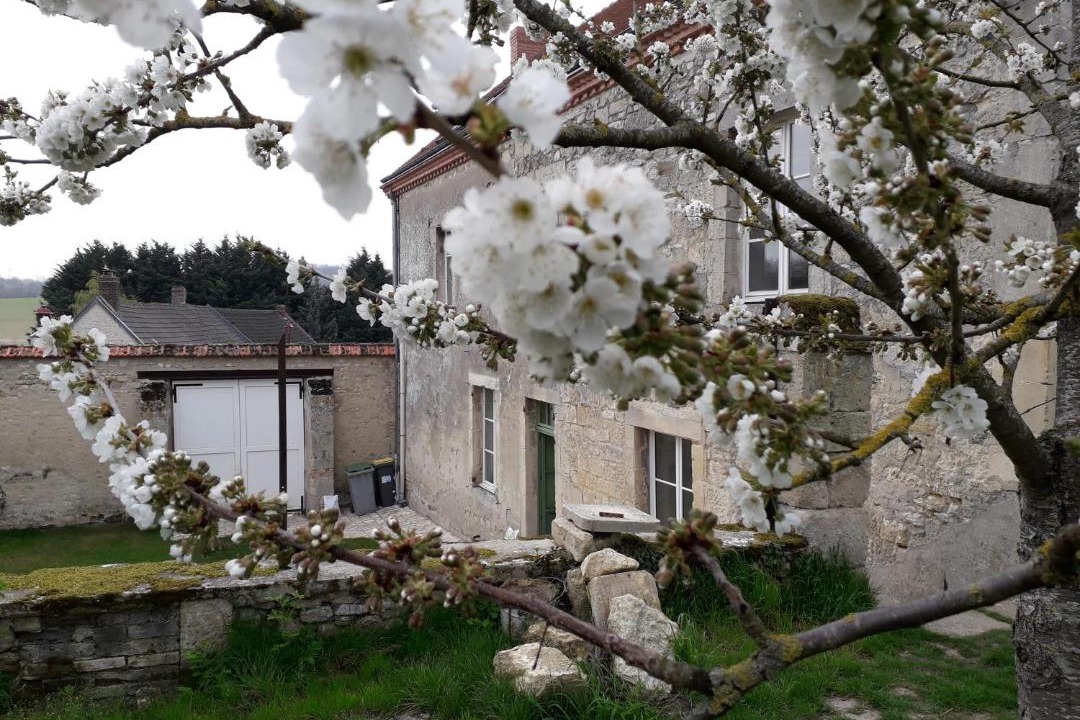 Photo of Others in Revillon