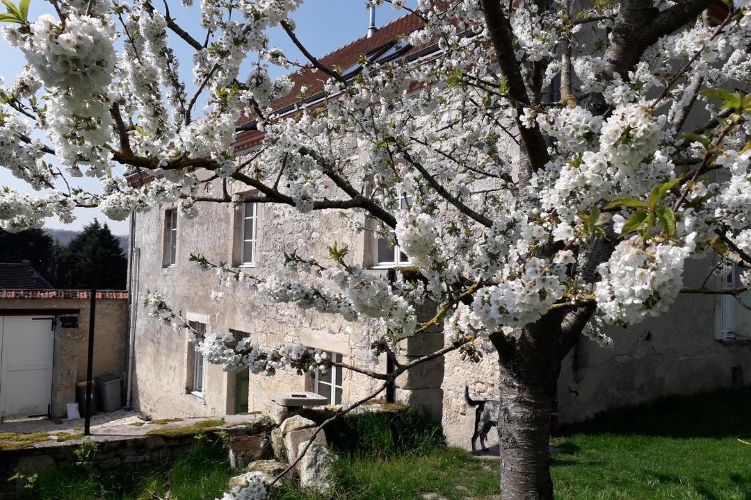 Photo of Others in Revillon