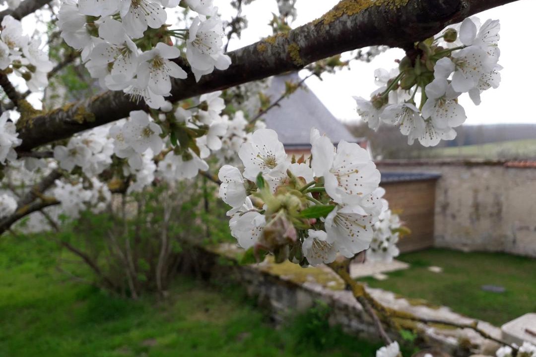 Photo of Others in Revillon