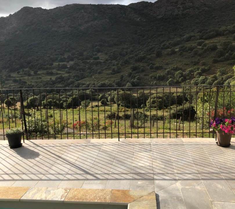 Photo of Others in Galeria