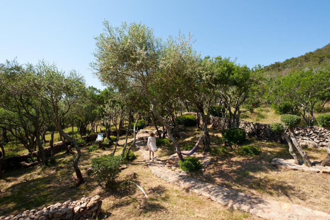 Photo of Others in Hameau de Palombaggia