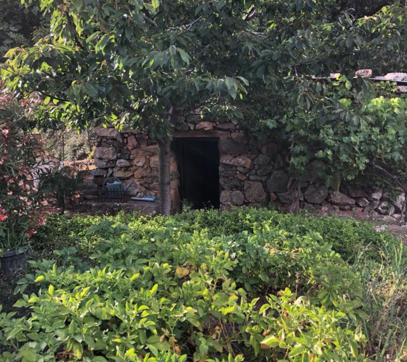 Photo of Others in Galeria