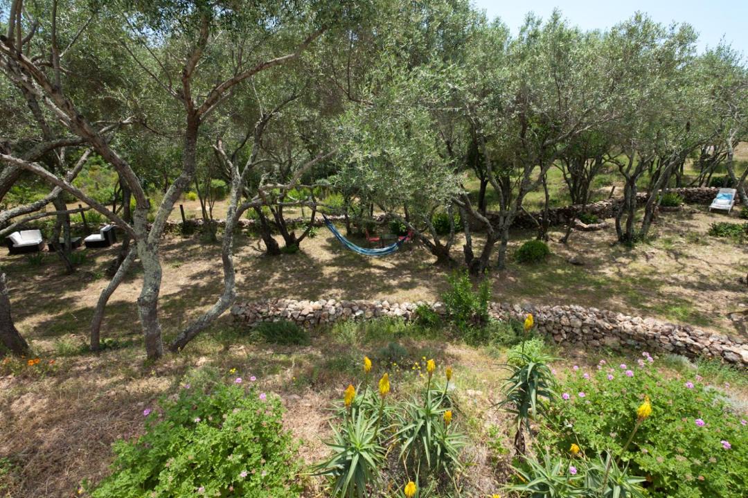 Photo of Others in Hameau de Palombaggia