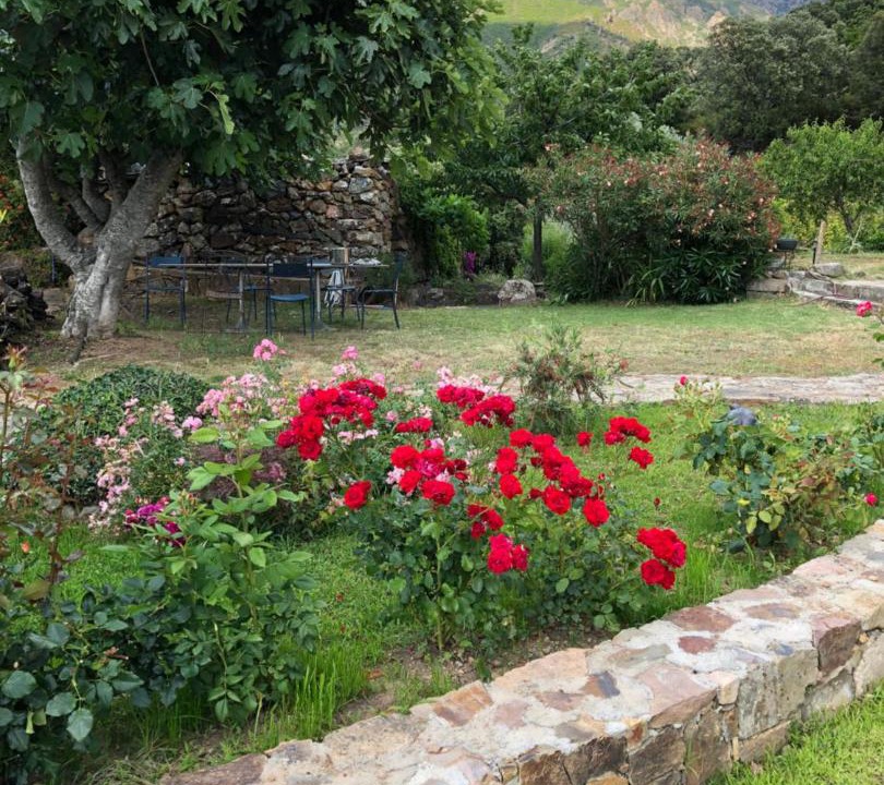 Photo of Others in Galeria