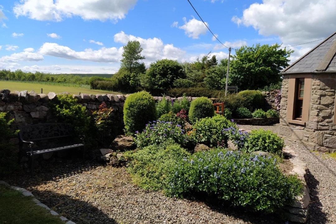 Photo of Others in Stonehaven