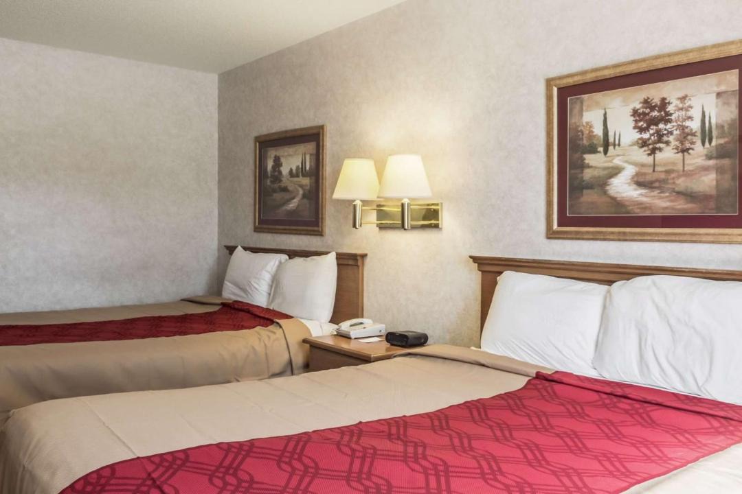 Photo of Bedroom in Renner