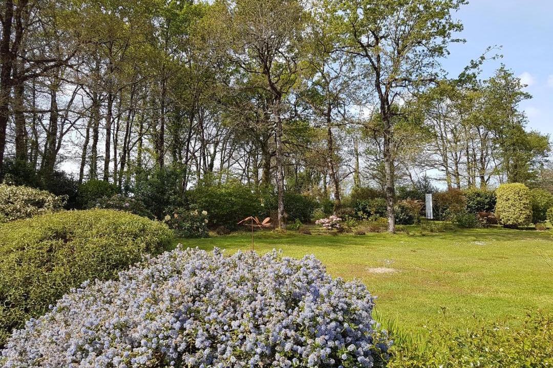 Photo of Others in Locoal-Mendon