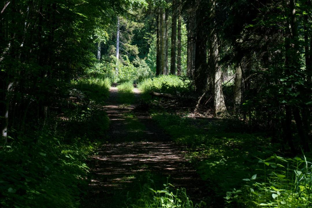 Photo of Others in Roskilde