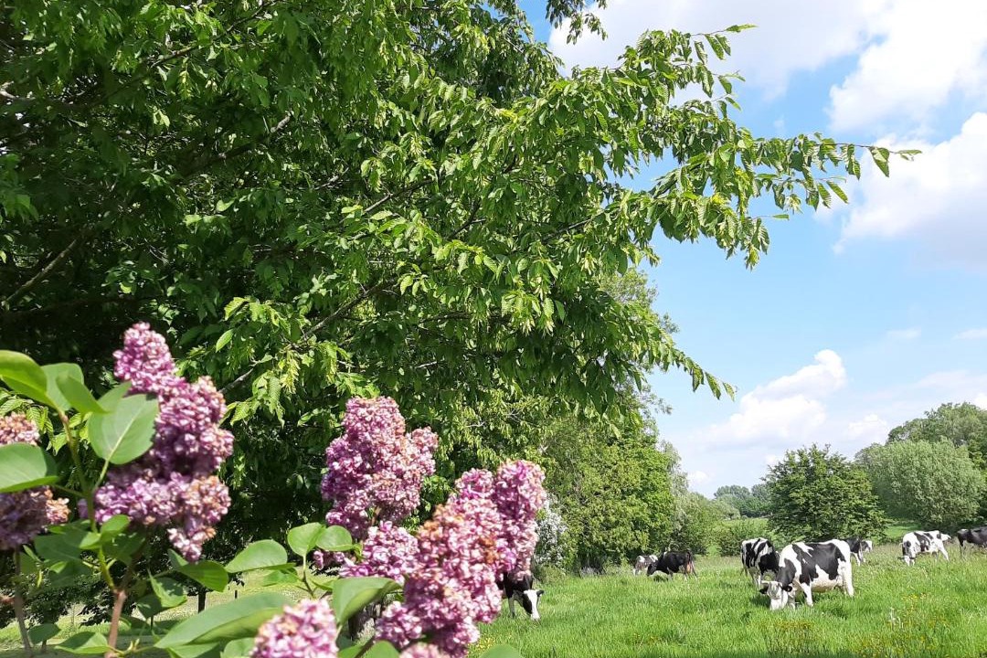 Photo of Others in Beaurepaire-sur-Sambre