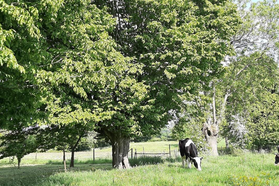 Photo of Others in Beaurepaire-sur-Sambre