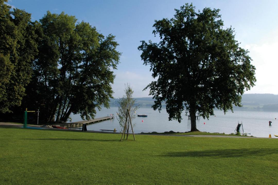 Photo of Others in Beinwil am See