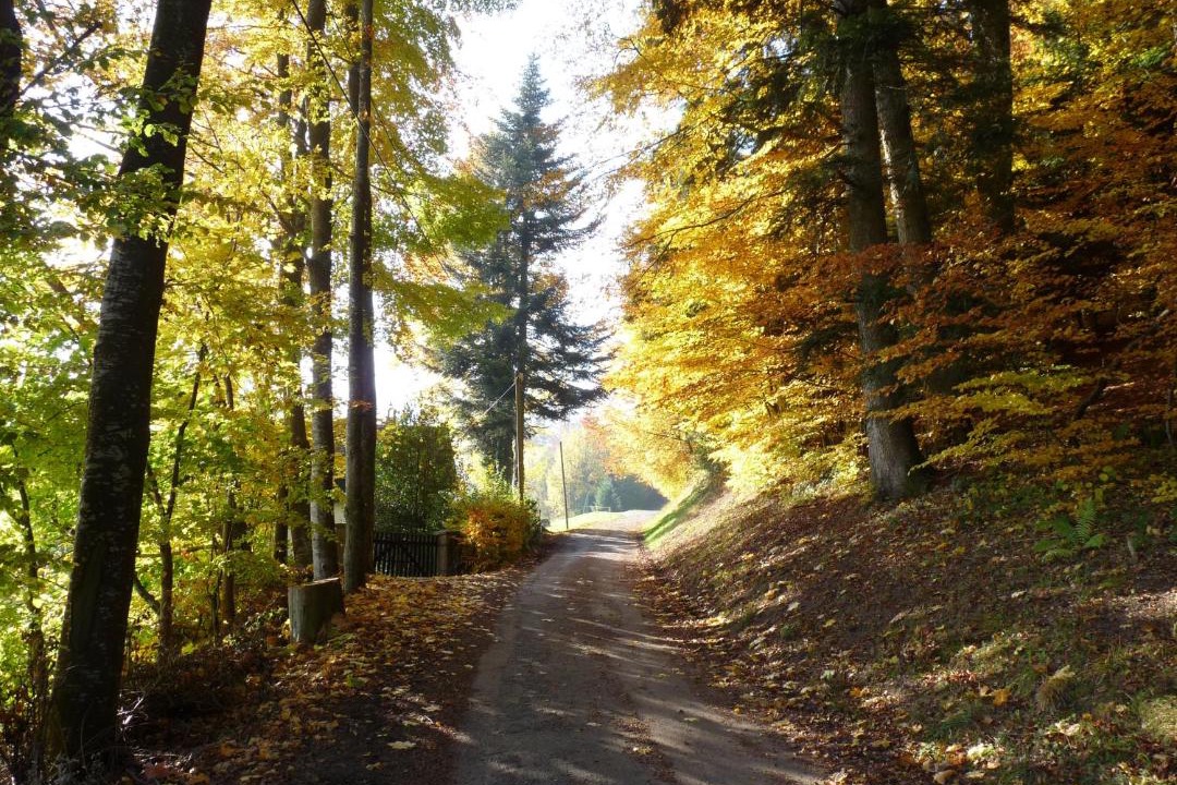 Photo of Others in Le Hohwald