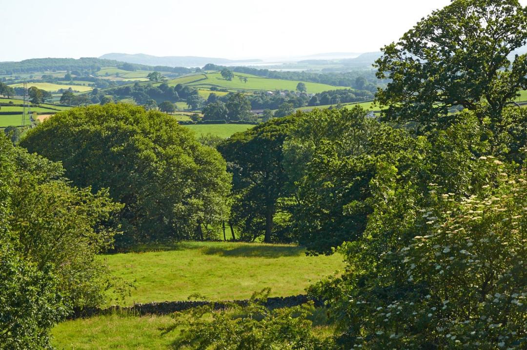 Photo of Others in Kendal